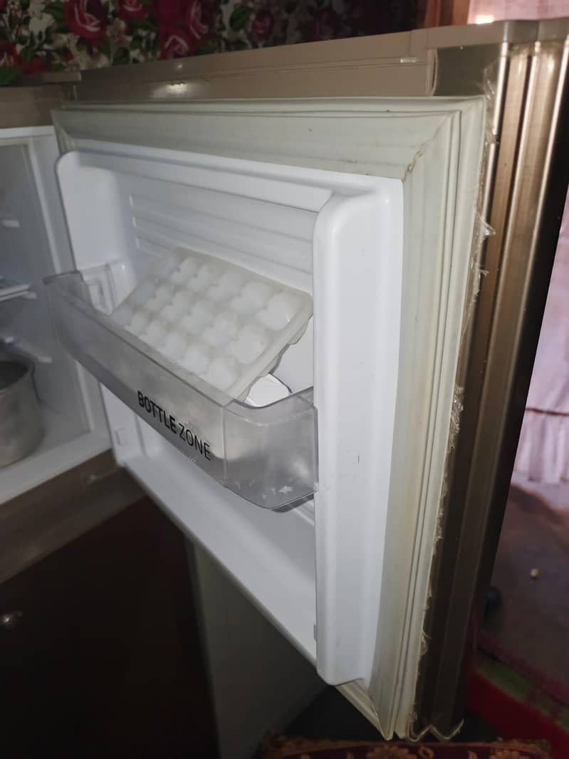 pel fridge 4