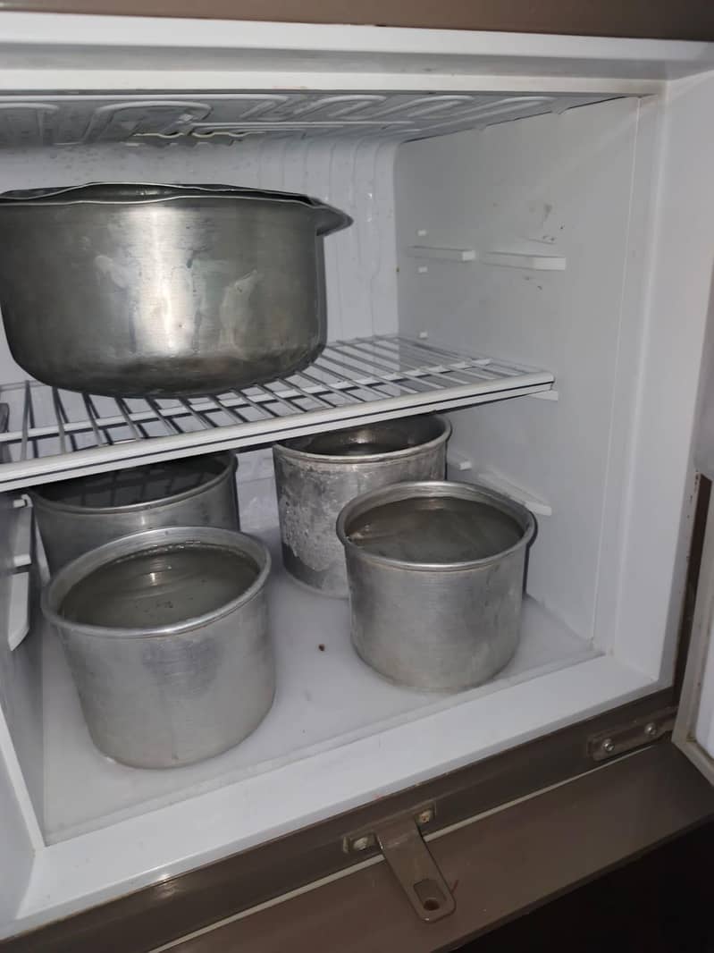 pel fridge 5