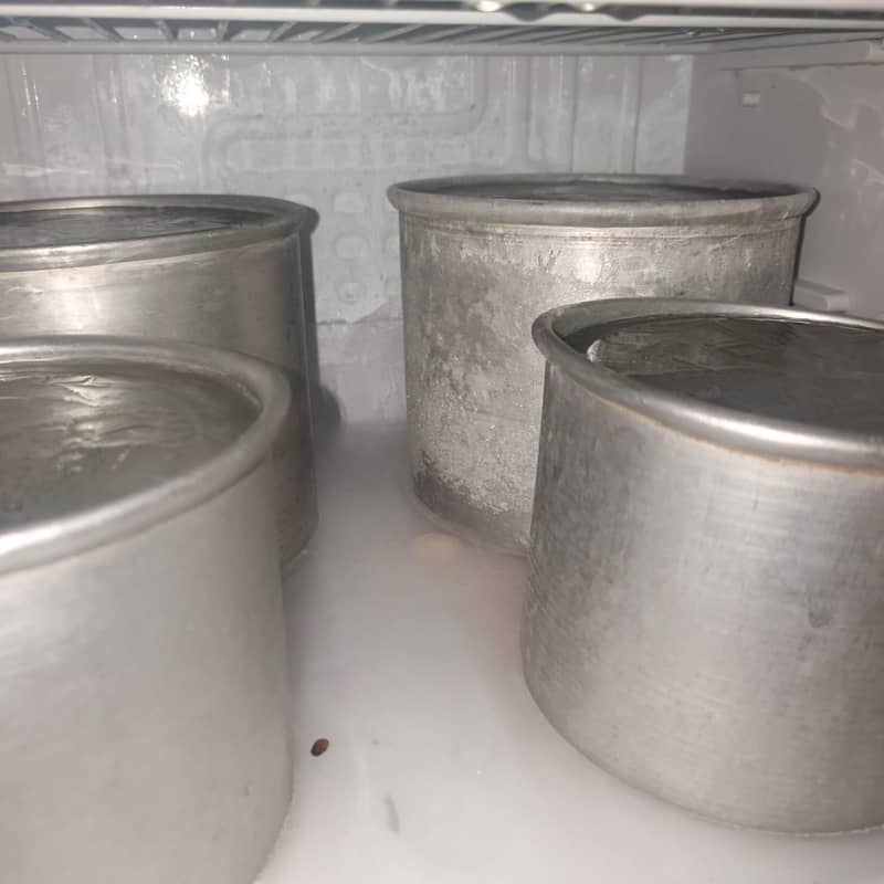 pel fridge 10