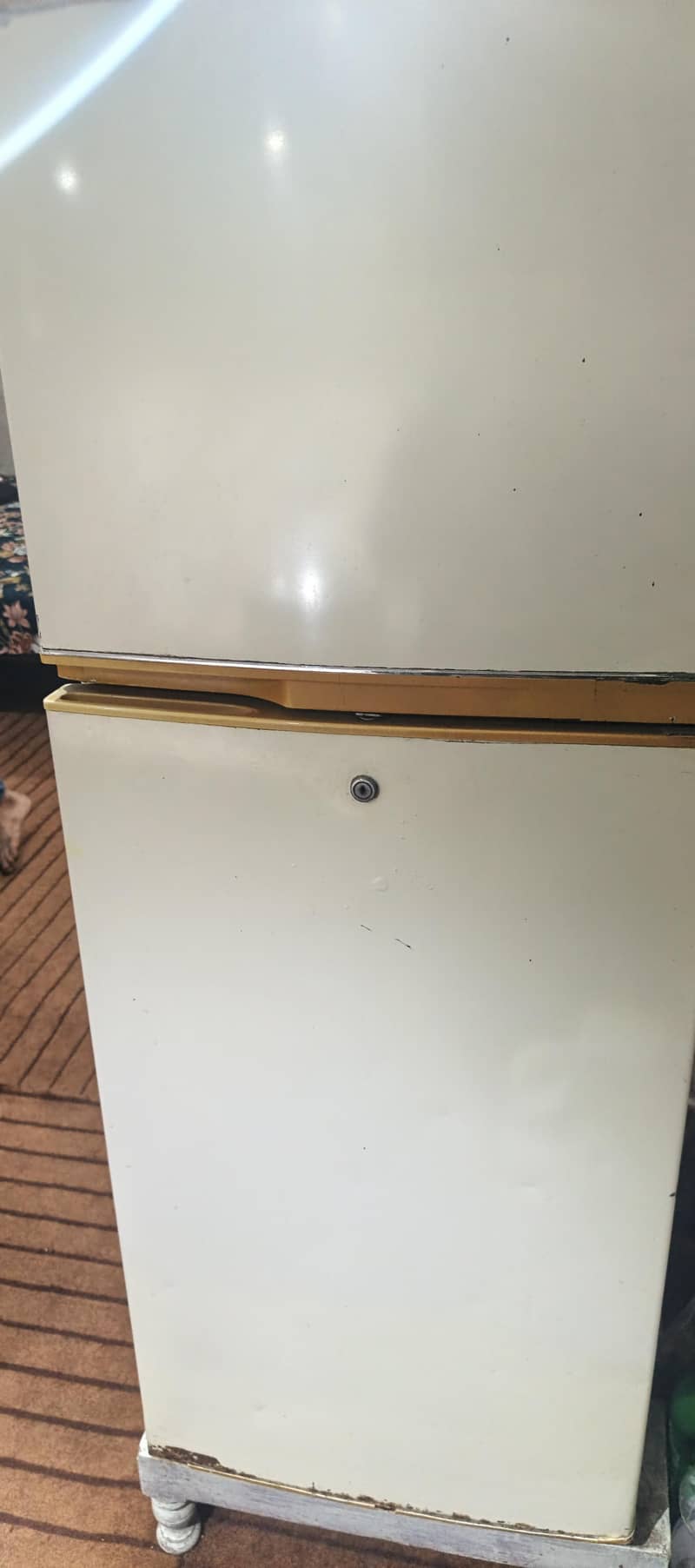 super general freezer 1
