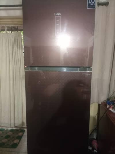 Hair Fridge in Maroon Colour