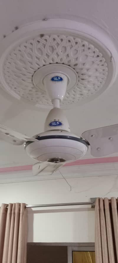 Ceiling Pak Fan 75 watt