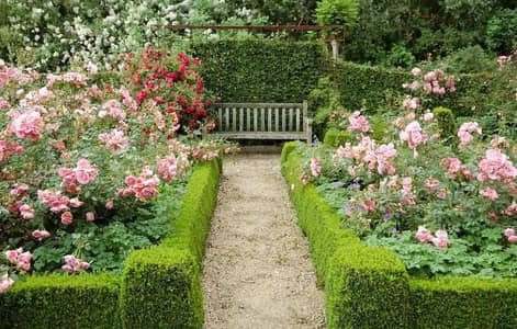 Professional Garden Maintenance Services | Lawn Care | Landscaping