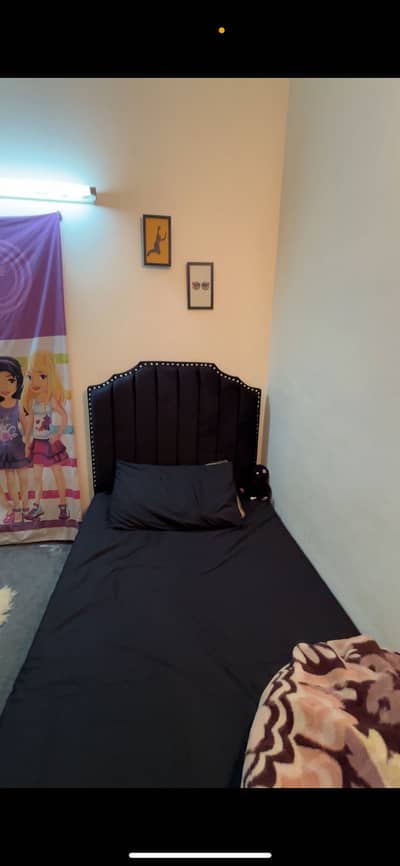 Black velvet bed single new