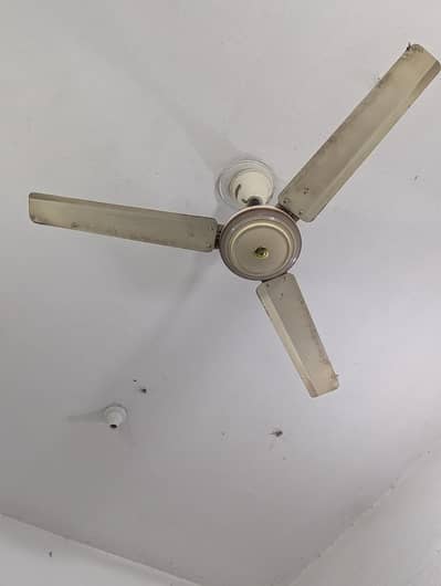 Celling fan