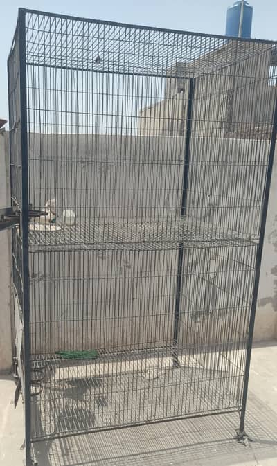 Cage for Birds Huge and strong.
