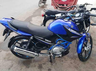 YBR 125 2024