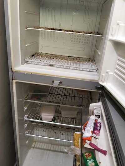 Refrigerator Dawlance condition 10/10