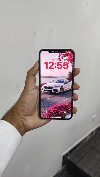 iPhone 11 pro max