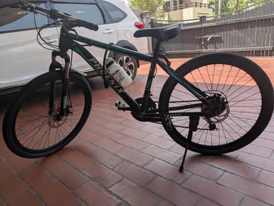phoenix full size bicycle