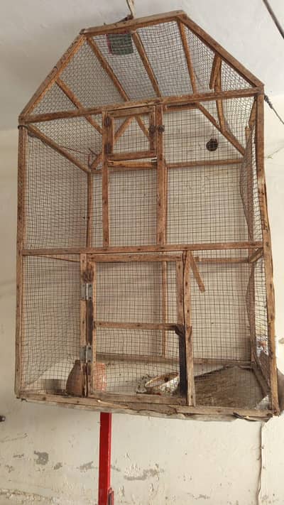 birds cage