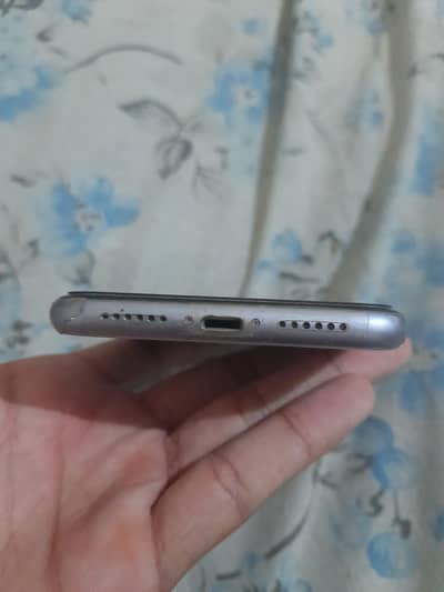 i phone 11