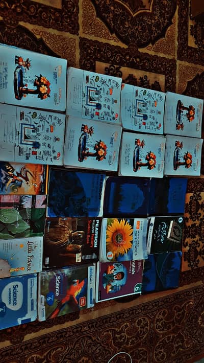 beaconhouse grade 6 books