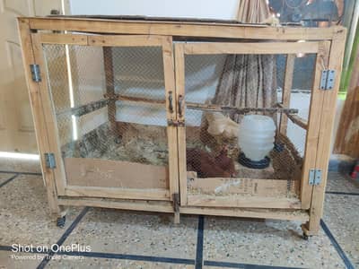 bird cage for hen
