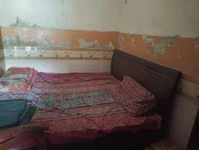 good kadishan wtsb 03095261330