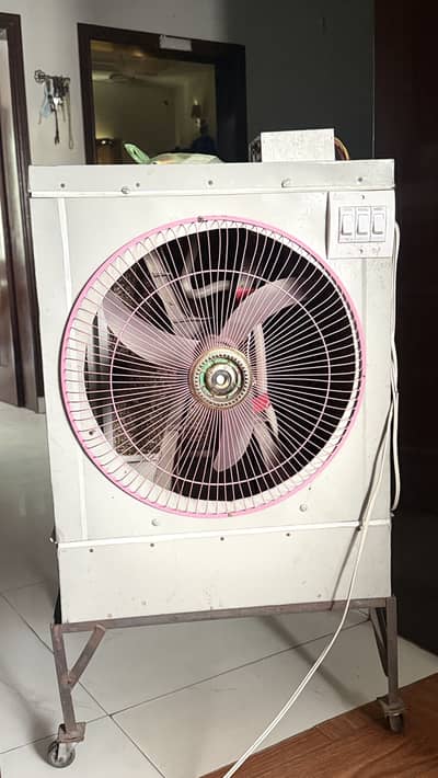 DC 12 volt cooler