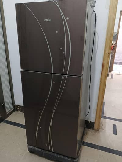 Haier medium fridge  03054761008