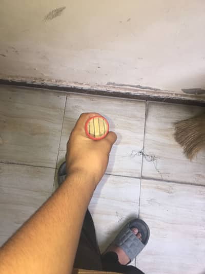 Hard ball bat Kashmir willow