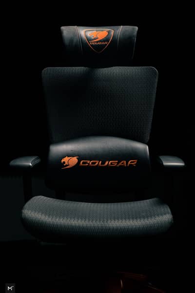 Cougar Argo Ergonomic Gaming Chair
