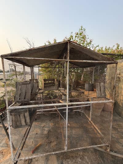 Steel Cage for birds and pigeons