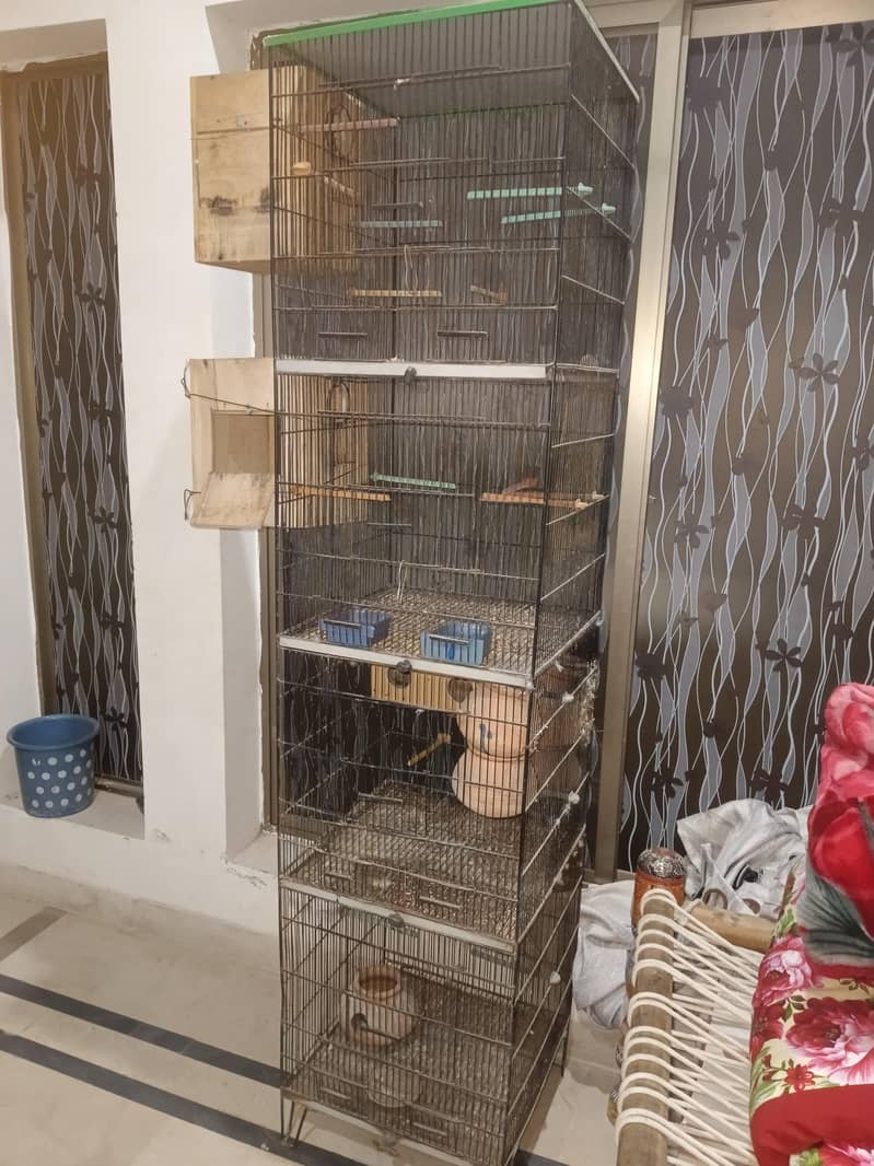 2 cages 1