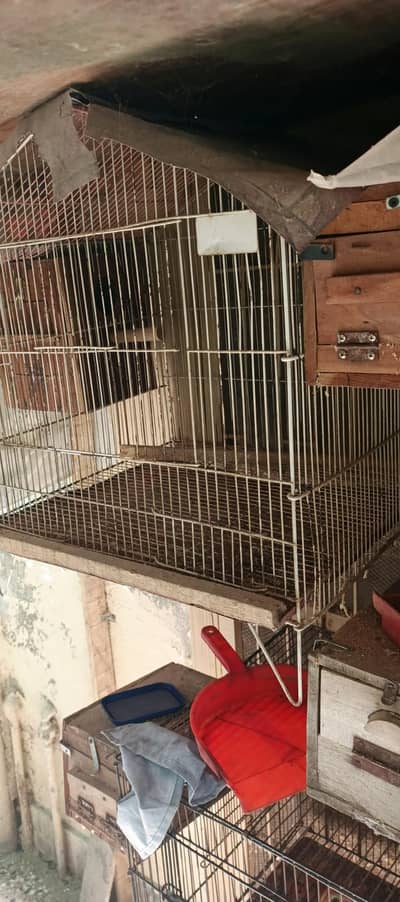 birds cage for sale