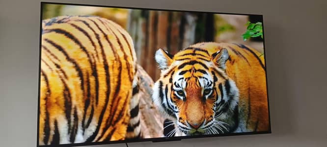 TCL LED 50P635 For sale