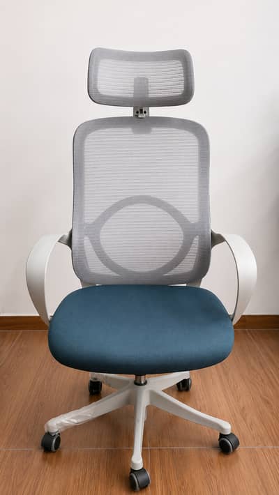 Premium Ergonomic Mesh Office Chair