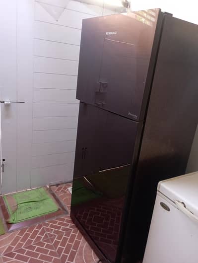 Full Size Kenwood Persona Series Glass Door Fridge