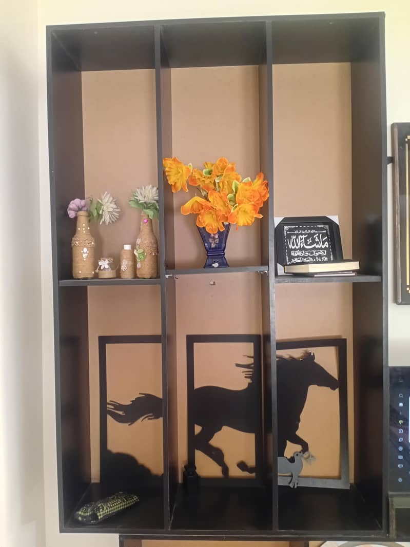 cabinet 2