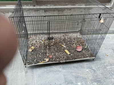parrot cage brand new