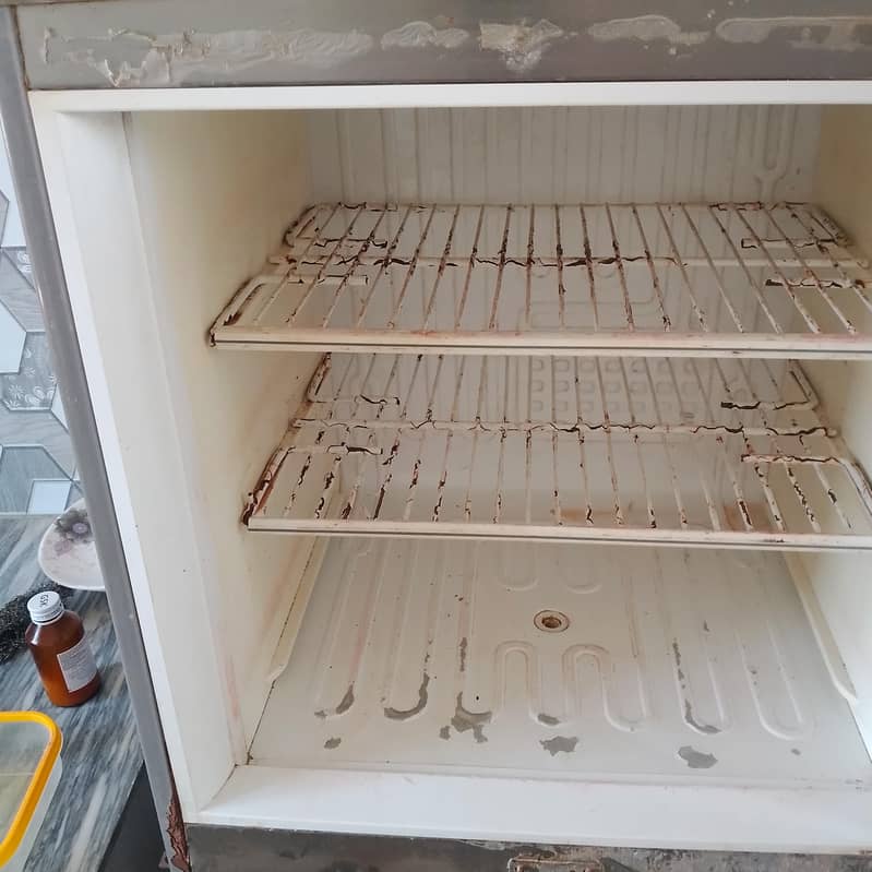 Pel fridge 3