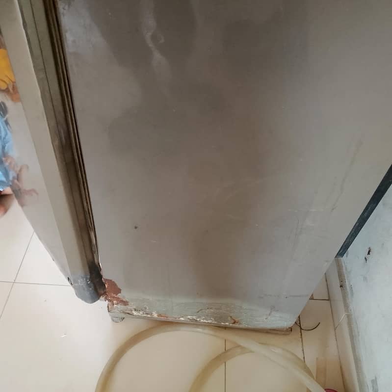 Pel fridge 4