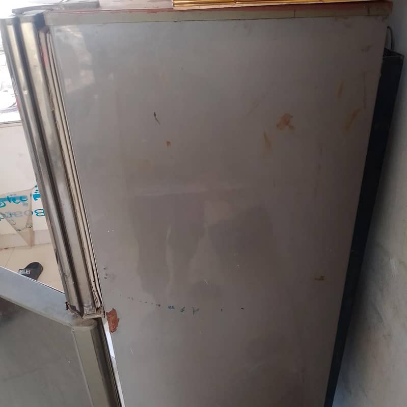 Pel fridge 5