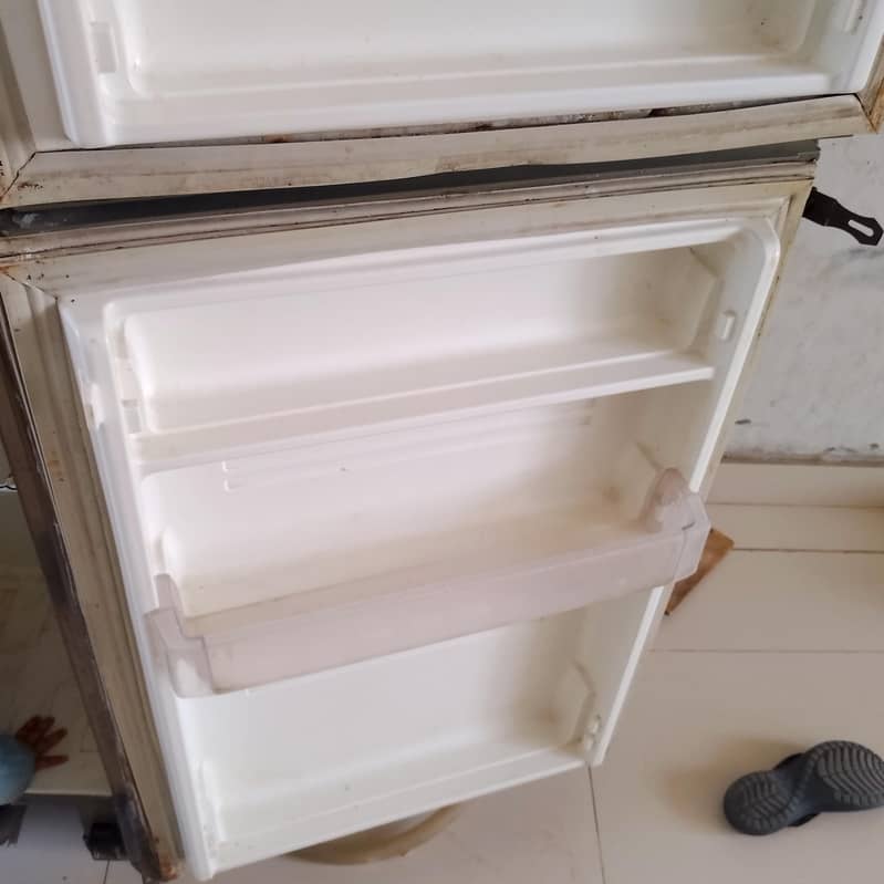 Pel fridge 8