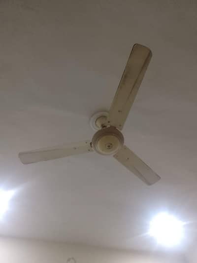2 farshi fan and 1 selling fan for sale