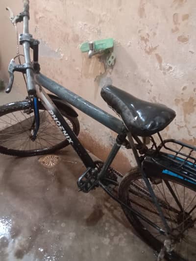 Phoenix Bicycle for sale