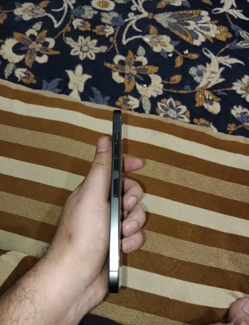 13 Pro max 1
