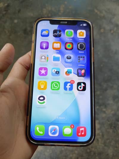 iPhone 12 PTA approved
