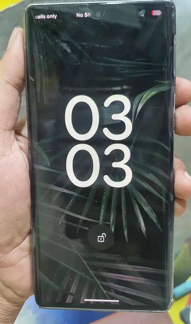 Google Pixel 6 Pro 1