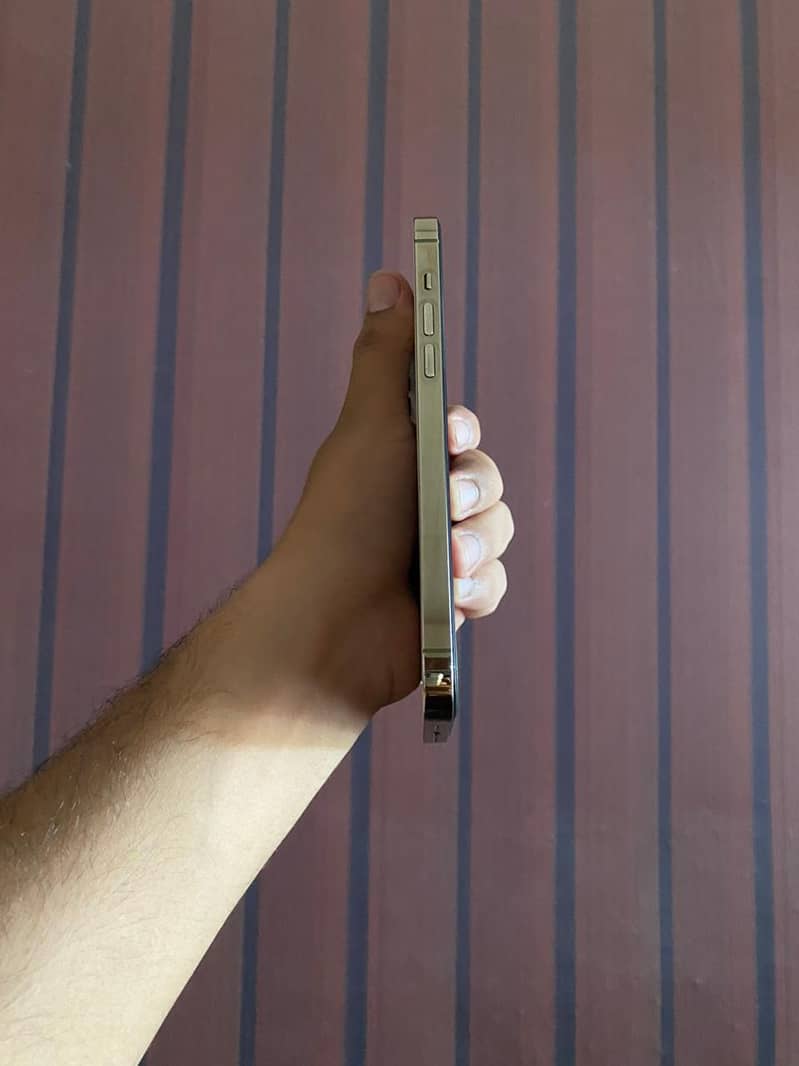 iphone 14 pro max 6