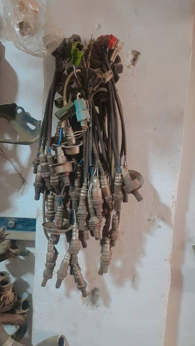 Oxygen Sensor