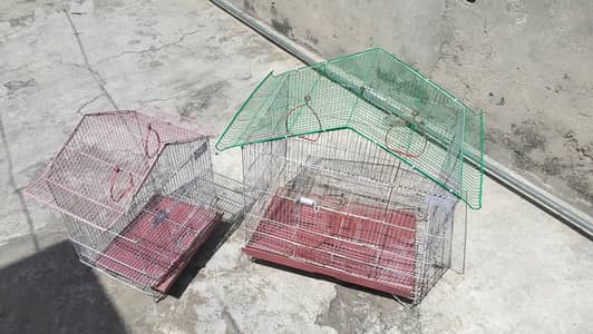 Birds Cage