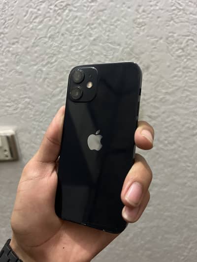 iPhone 12 mini (waterpack)