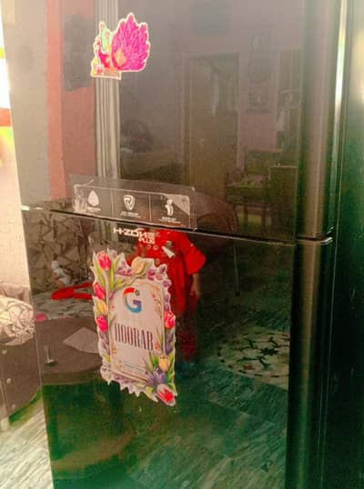 Glass Door Dowlance fridge