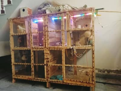 wooden cage for sale with 4 portions