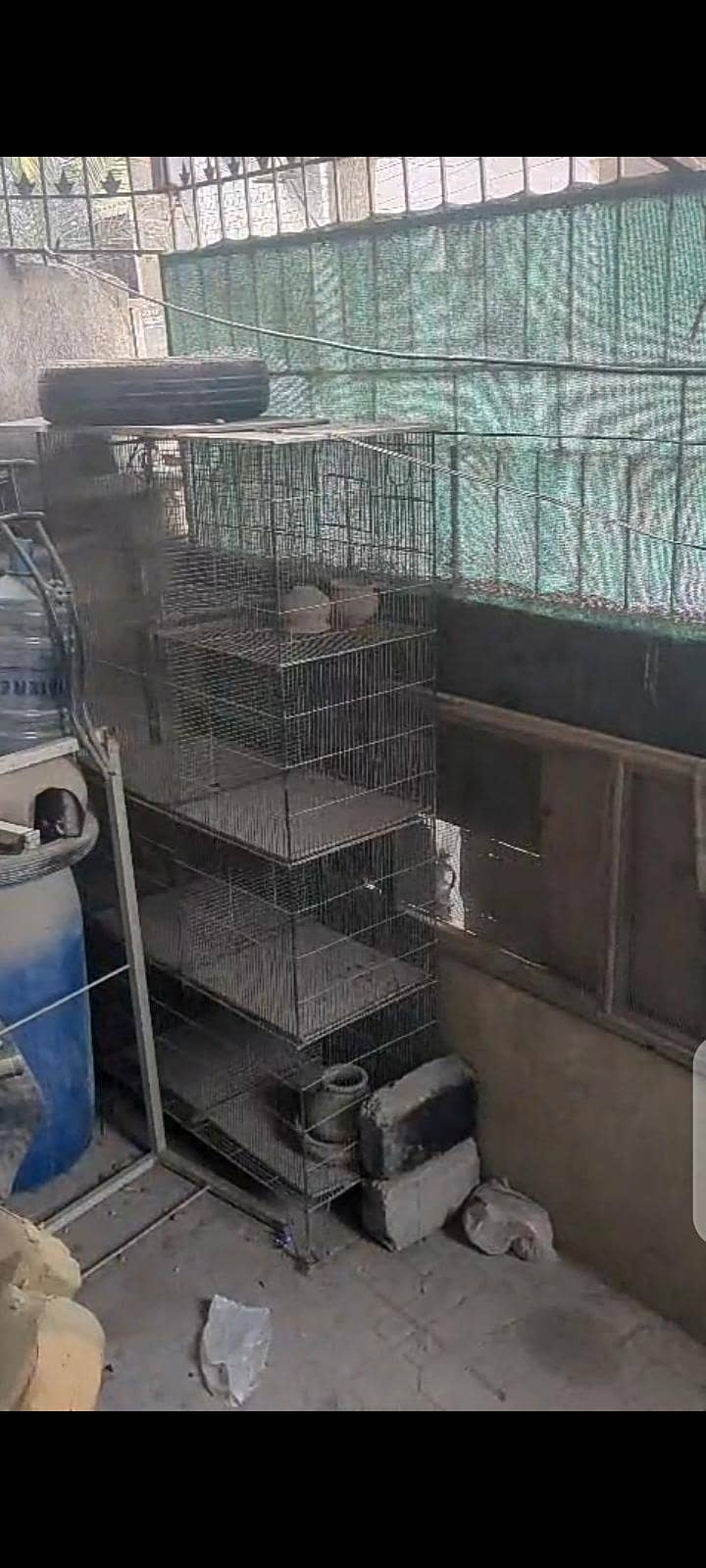 cages 0