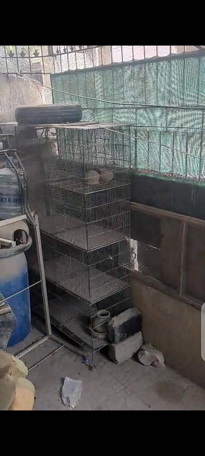 cages 1