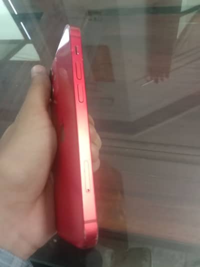 iPhone 12 mini