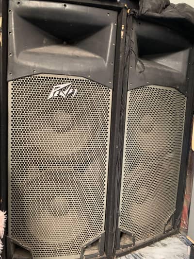 Dj party speakers